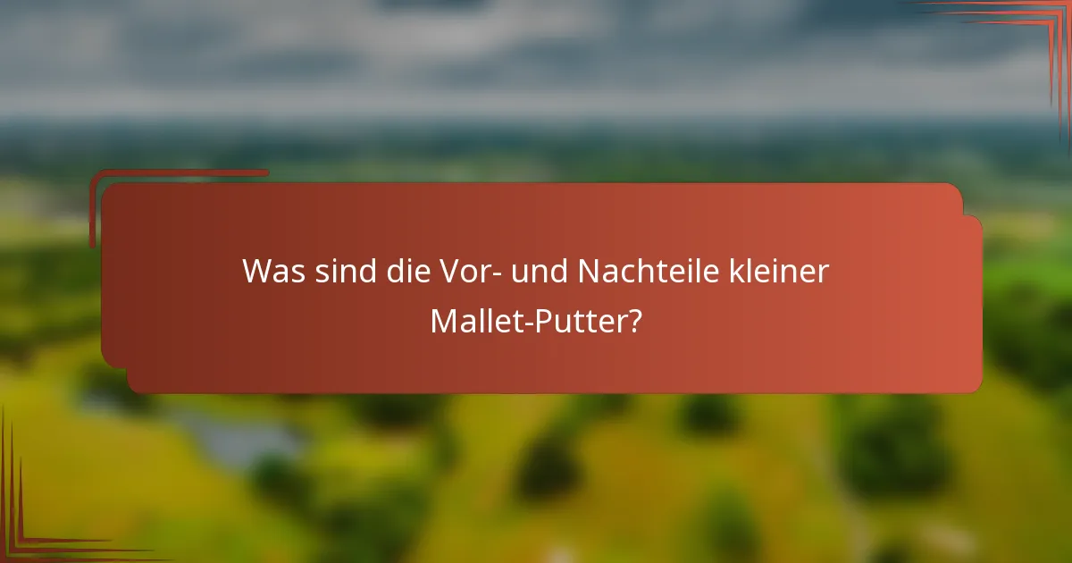 Was sind die Vor- und Nachteile kleiner Mallet-Putter?
