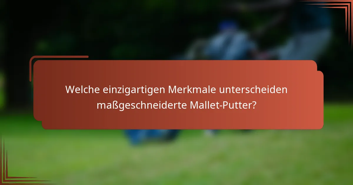 Welche einzigartigen Merkmale unterscheiden maßgeschneiderte Mallet-Putter?
