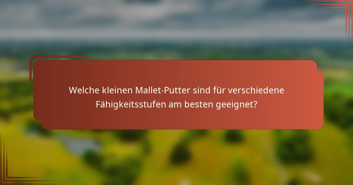 Welche kleinen Mallet-Putter sind für verschiedene Fähigkeitsstufen am besten geeignet?